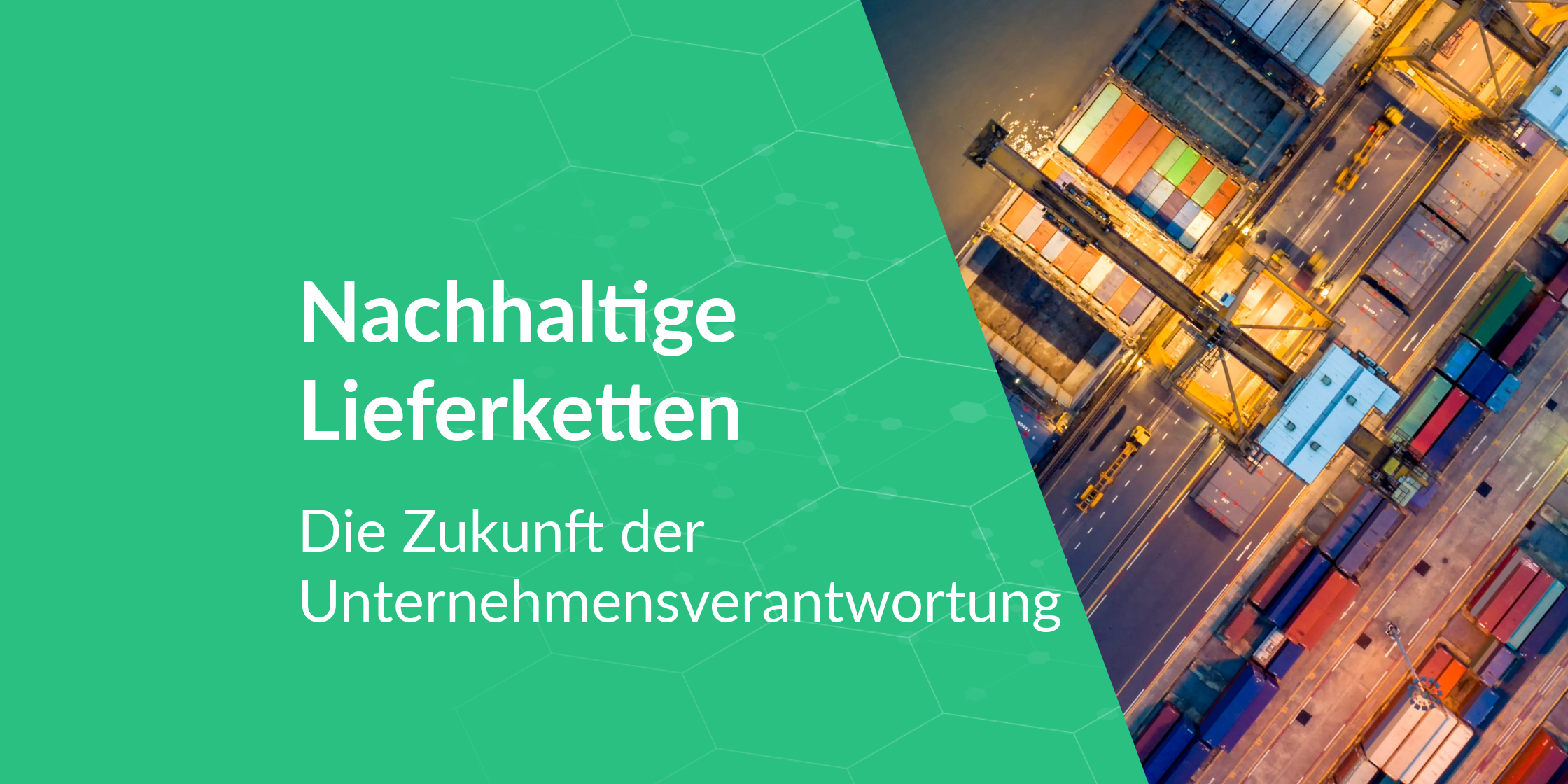 Nachhaltige Lieferkette: Die Zukunft der Unternehmensverantwortung